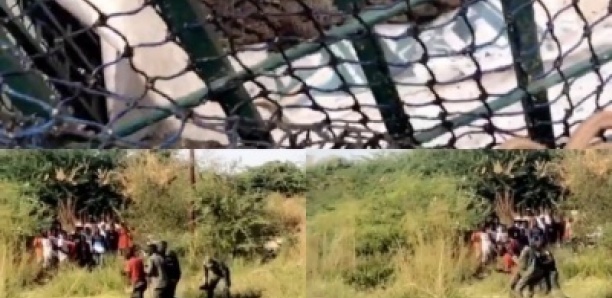 Fass Ridwane (Kaolack): Le crocodile a été finalement capturé Fass Ridwane (Kaolack): Le crocodile a été finalement capturé