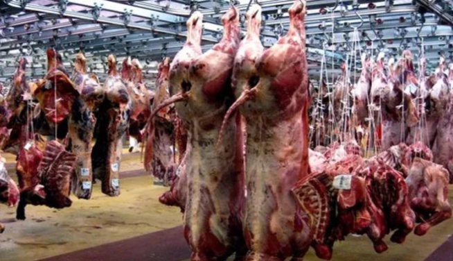 Accusation d’abattage sans contrôle certifiée : Le Dg de Sogas traîné en justice Accusation d’abattage sans contrôle certifiée : Le Dg de Sogas traîné en justice