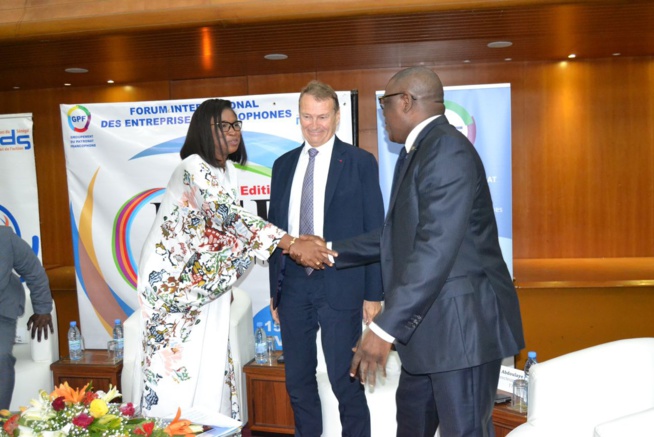3e Editions du Forum des entreprises francophones en partenariat avec le MEDS et le GPF à Dakar.