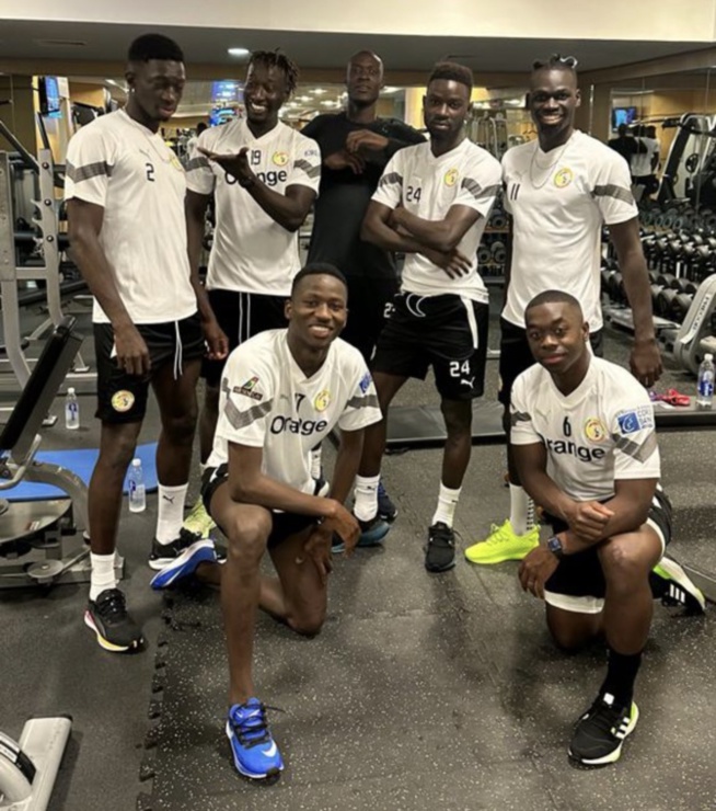 Qatar 2022 : Le dispatching des numéros effectué, SM 10 va-t-il conserver le sien ou le léguer à...? Qatar 2022 : Le dispatching des numéros effectué, SM 10 va-t-il conserver le sien ou le léguer à...?