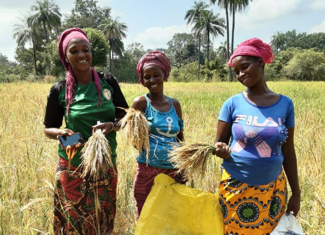 SICA Paris 2023 : Les femmes productrices de la Casamance à l’honneur SICA Paris 2023 : Les femmes productrices de la Casamance à l’honneur