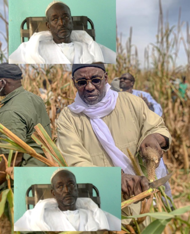 Serigne cheikh Saliou MBACKÉ l'infatigable Bâtisseur des mosquées : le village de Lagane s'en réjouit Serigne cheikh Saliou MBACKÉ l'infatigable Bâtisseur des mosquées : le village de Lagane s'en réjouit
