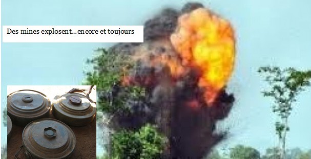 Des jeunes ont sauté sur une mine à Bignona : 7 morts et 3 blessés graves Des jeunes ont sauté sur une mine à Bignona : 7 morts et 3 blessés graves