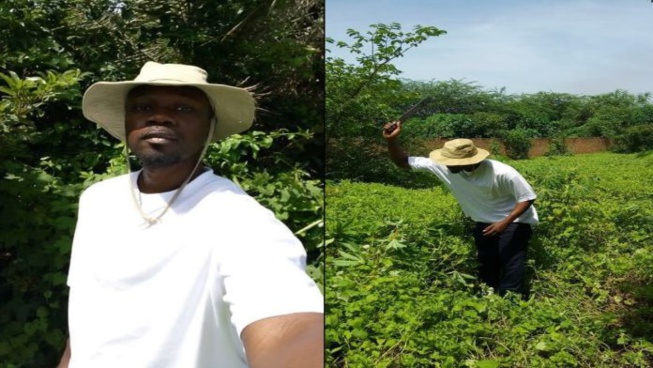 « On se trompe souvent au sujet de la Casamance… », (Par Jean-Marie François Biagui) « On se trompe souvent au sujet de la Casamance… », (Par Jean-Marie François Biagui)