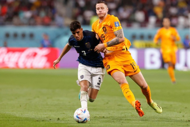 L'Équateur aurait mérité mieux face à des Pays-Bas décevants, les "Lions" sont prévenus L'Équateur aurait mérité mieux face à des Pays-Bas décevants, les "Lions" sont prévenus