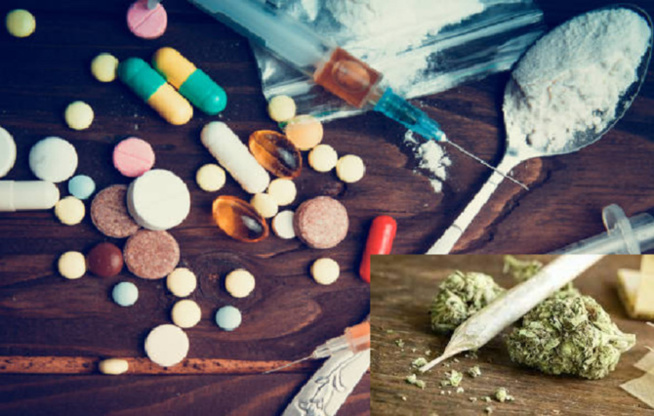 Saisie de 372 kg de cocaïne, de 6,9 tonnes de chanvre indien, de faux médicaments… : La région Sud-Est, plaque tournante des trafics