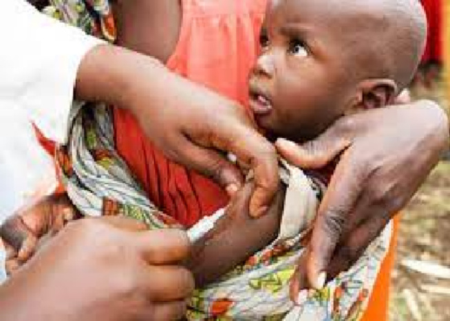 Malnutrition : Plus de 109.000 enfants dépistés trimestriellement à Kolda Malnutrition : Plus de 109.000 enfants dépistés trimestriellement à Kolda