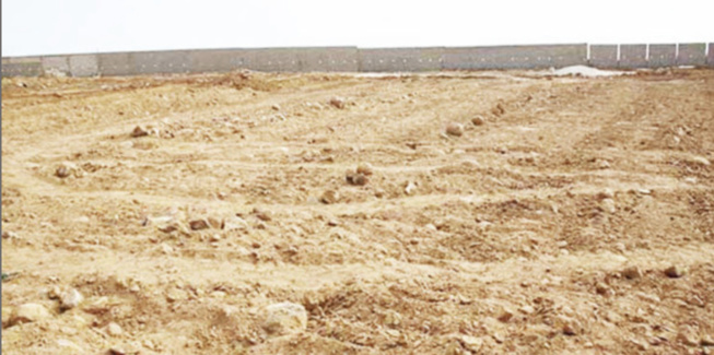 Bradage de 61 hectares dans la commune de Diass : Les jeunes de Kandam et de Toglou, sonnent la révolte Bradage de 61 hectares dans la commune de Diass : Les jeunes de Kandam et de Toglou, sonnent la révolte