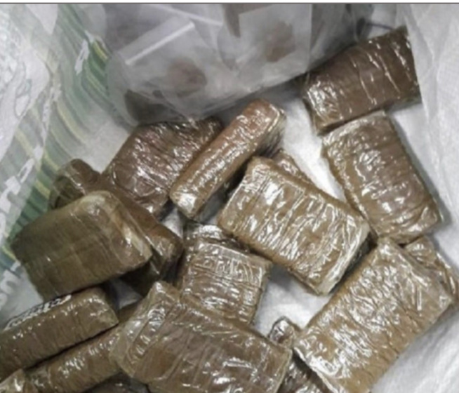 Lutte contre le trafic international de drogue : 25 kg de cocaïne pure saisis à Kaolack Lutte contre le trafic international de drogue : 25 kg de cocaïne pure saisis à Kaolack