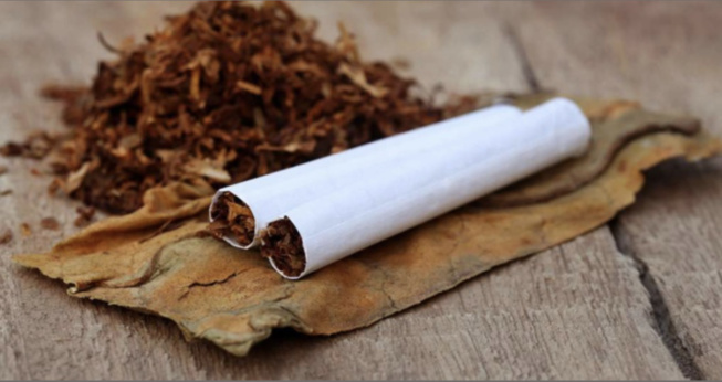 Offre et cession de drogue à Mbacké : Ndéné Diop et Moustapha Sène écopent de six ans de réclusion criminelle Offre et cession de drogue à Mbacké : Ndéné Diop et Moustapha Sène écopent de six ans de réclusion criminelle