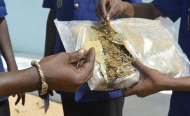 Chanvre indien : Un ancien militaire tombe avec 8 kg