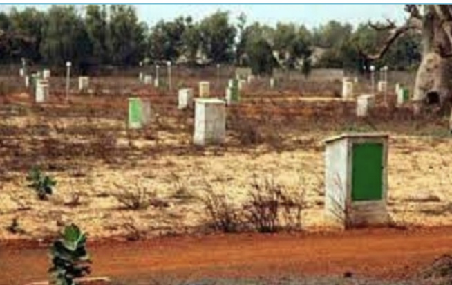 Projet 100 000 logements et « Ville nouvelle » : en situation litigieuse, la Sicap menacée d’expulsion à Bambilor Projet 100 000 logements et « Ville nouvelle » : en situation litigieuse, la Sicap menacée d’expulsion à Bambilor