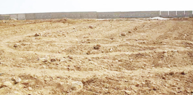 Spoliation tous azimuts de terres à Mbour : La Société civile monte au front Spoliation tous azimuts de terres à Mbour : La Société civile monte au front