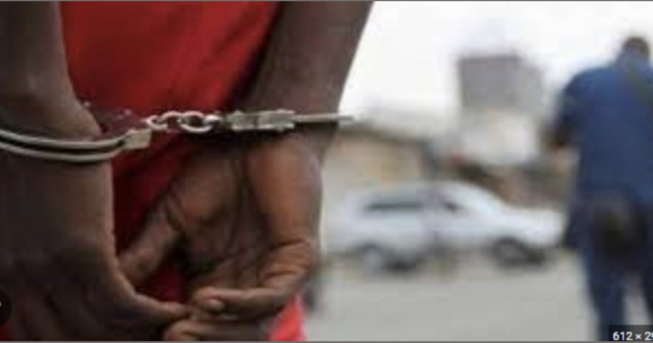 Meurtre d'une Franco-sénégalaise à Somone: Le fils d'un célèbre journaliste impliqué Meurtre d'une Franco-sénégalaise à Somone: Le fils d'un célèbre journaliste impliqué