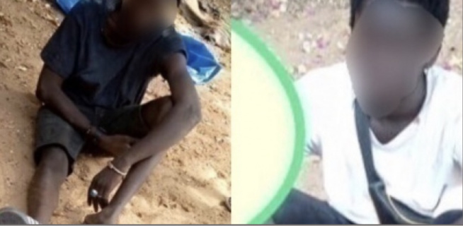 Meurtre d’une Franco-sénégalaise à Somone : Les aveux des présumés meurtriers Meurtre d’une Franco-sénégalaise à Somone : Les aveux des présumés meurtriers