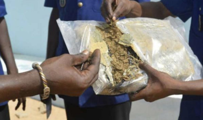 Cité Fadia : La police de Golf met la main sur 4 dealers en possession de 7,5 kg de "yamba"