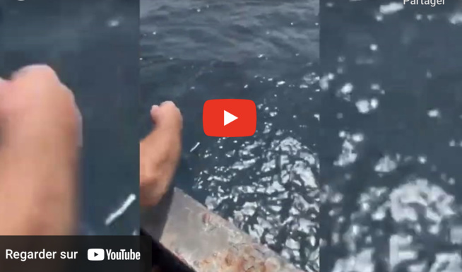 Danger : Un bateau « fantôme » au large de Dakar, avec un équipage abandonné Danger : Un bateau « fantôme » au large de Dakar, avec un équipage abandonné