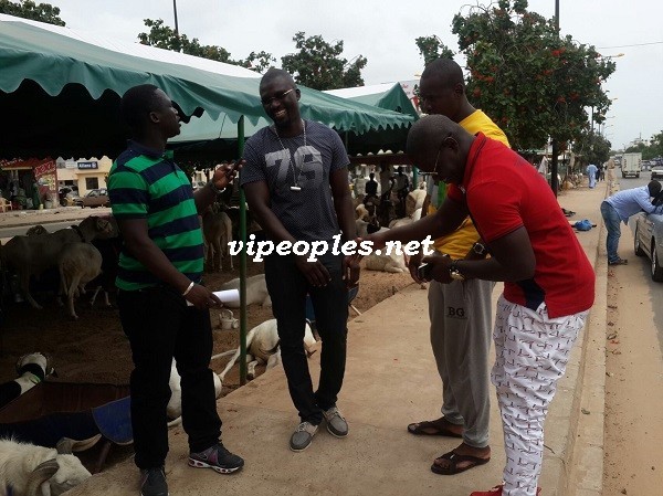 Opération tabaski: Tapha Marmite du cœur et Baboye dans la vente des béliers VIP Opération tabaski: Tapha Marmite du cœur et Baboye dans la vente des béliers VIP