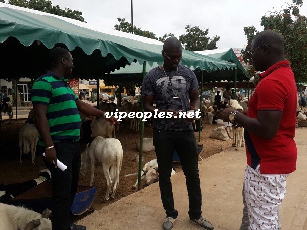 Opération tabaski: Tapha Marmite du cœur et Baboye dans la vente des béliers VIP Opération tabaski: Tapha Marmite du cœur et Baboye dans la vente des béliers VIP