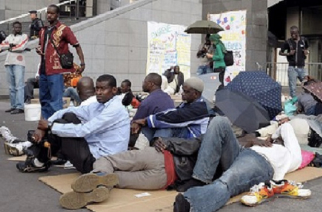 Politiques et programmes de promotion de l’emploi des jeunes : Deux chercheurs révèlent les causes de leur inefficacité Politiques et programmes de promotion de l’emploi des jeunes : Deux chercheurs révèlent les causes de leur inefficacité