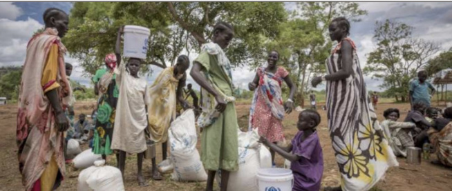 Sécurité alimentaire : L'Ukraine aide le Kenya dans sa lutte Sécurité alimentaire : L'Ukraine aide le Kenya dans sa lutte