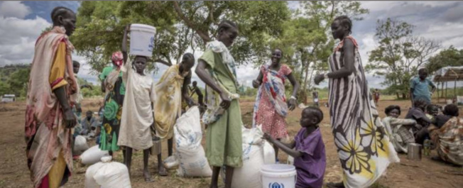 Sécurité alimentaire : L'Ukraine aide le Kenya dans sa lutte
