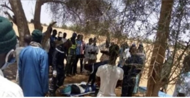 Drame à Vélingara: Un homme tombe d’un arbre et meurt… Drame à Vélingara: Un homme tombe d’un arbre et meurt…