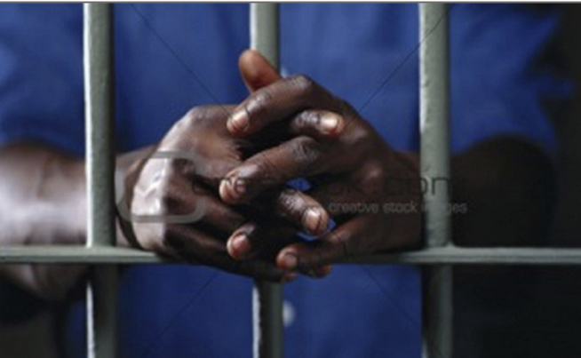 2 ans de prison ferme pour ce dealer : Piégé, il avait livré « accidentellement » 3 kg de drogue aux gendarmes 2 ans de prison ferme pour ce dealer : Piégé, il avait livré « accidentellement » 3 kg de drogue aux gendarmes