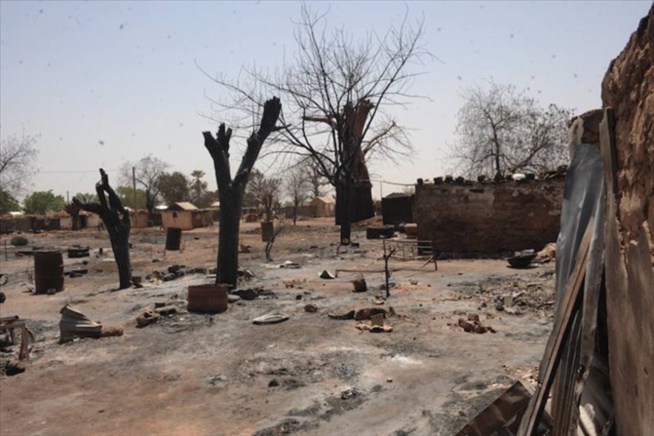 Incendie au Ranch de Dolly: Plus de 200 hectares ravagés Incendie au Ranch de Dolly: Plus de 200 hectares ravagés