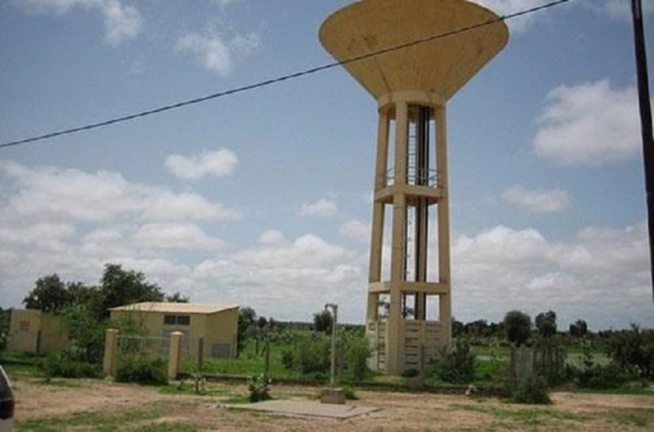 Diourbel, son forage en panne depuis septembre : Gade Escale crie sa soif et interpelle l’Etat Diourbel, son forage en panne depuis septembre : Gade Escale crie sa soif et interpelle l’Etat