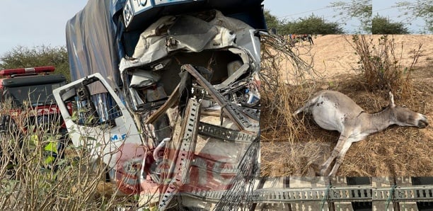 Accident de Sakal / Le propriétaire du car envoyé en prison : Les raisons ! Accident de Sakal / Le propriétaire du car envoyé en prison : Les raisons !