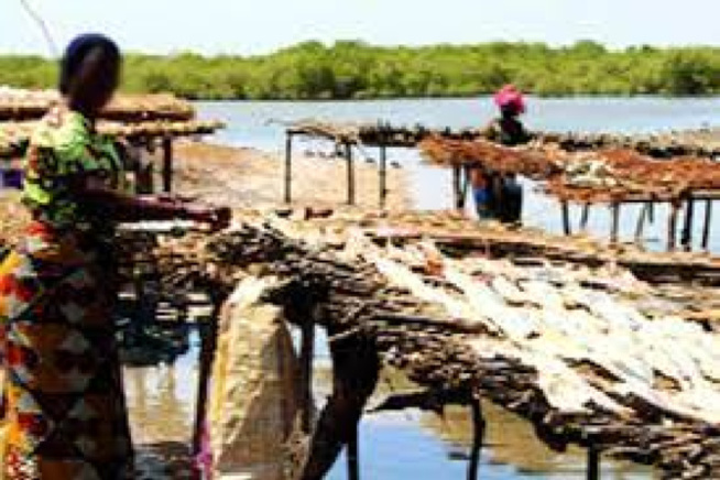 Gie Badeenaa Kafoo Diya : Pour l’autonomisation des femmes de Tambacounda Gie Badeenaa Kafoo Diya : Pour l’autonomisation des femmes de Tambacounda