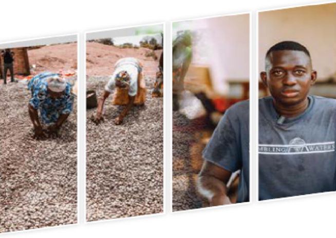 Boubacar Camara : L’exploitation de l’anacarde comme legs familial Boubacar Camara : L’exploitation de l’anacarde comme legs familial