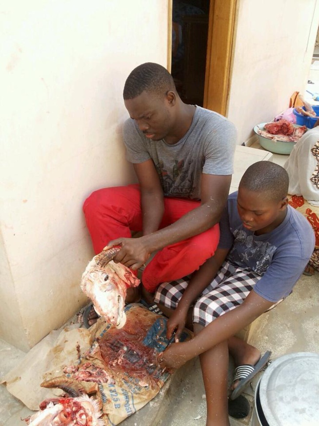 Tabaski: Canabasse s'est occupé du mouton Tabaski: Canabasse s'est occupé du mouton