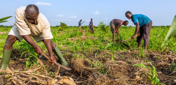 Zones rurales du Sénégal : Le Fida s’allie au secteur privé pour permettre l’inclusion financière Zones rurales du Sénégal : Le Fida s’allie au secteur privé pour permettre l’inclusion financière