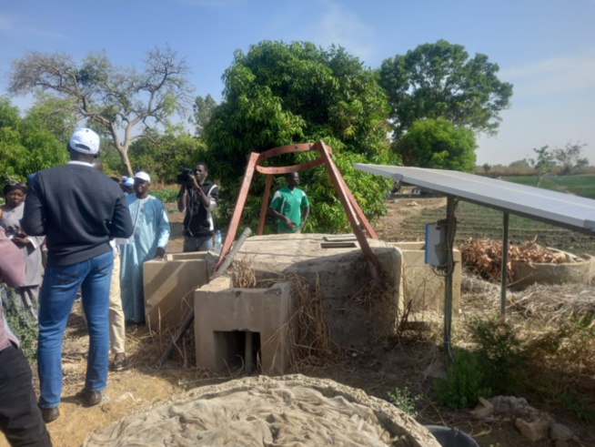 Activités maraîchères: Le village de Dassilamé Sérére de Toubakouta, doté d’infrastructures et d’équipements modernes