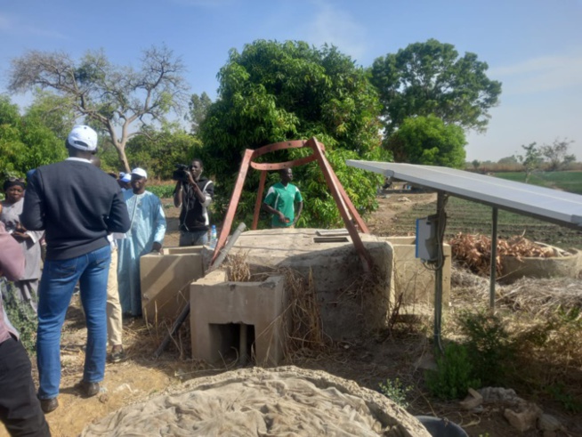 Activités maraîchères: Le village de Dassilamé Sérére de Toubakouta, doté d’infrastructures et d’équipements modernes