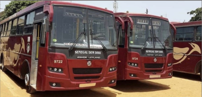Pour défaut de plaque d’immatriculation : Deux bus de Sénégal Dem Dikk refoulés par la police gambienne