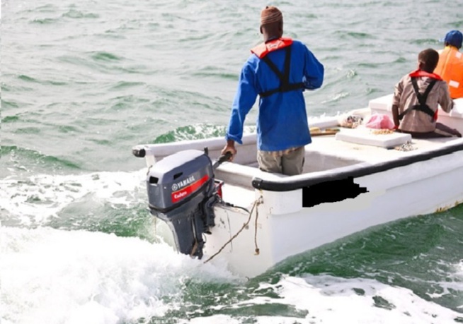 Mareyeur indélicat : Il trahit un de ses collègues et se retrouve dans le pétrin Mareyeur indélicat : Il trahit un de ses collègues et se retrouve dans le pétrin