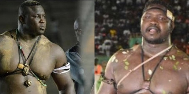 Lutte - Tapha Tine previent Bombardier : «Le combat ne va pas durer deux minutes» Lutte - Tapha Tine previent Bombardier : «Le combat ne va pas durer deux minutes»