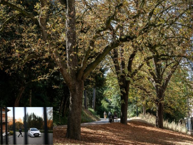Horreur à Paris : Un corps de femme découpé, retrouvé dans le parc des Buttes-Chaumont Horreur à Paris : Un corps de femme découpé, retrouvé dans le parc des Buttes-Chaumont