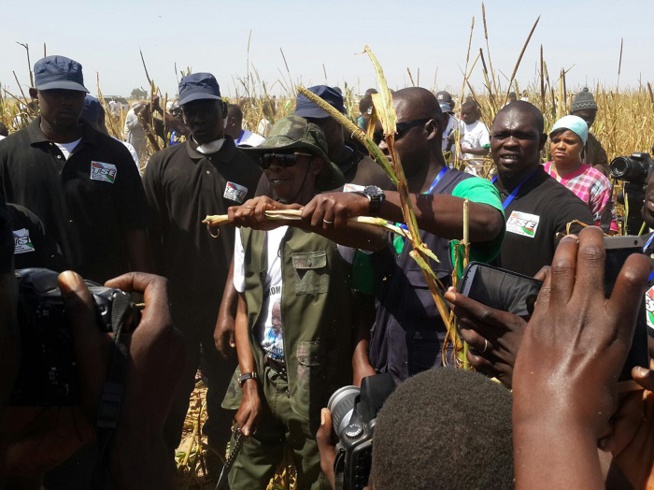 Khelcome 2014: Le milliardaire Cheikh Amar et sa délégation aux oeuvres de Serigne Saliou Mbacké