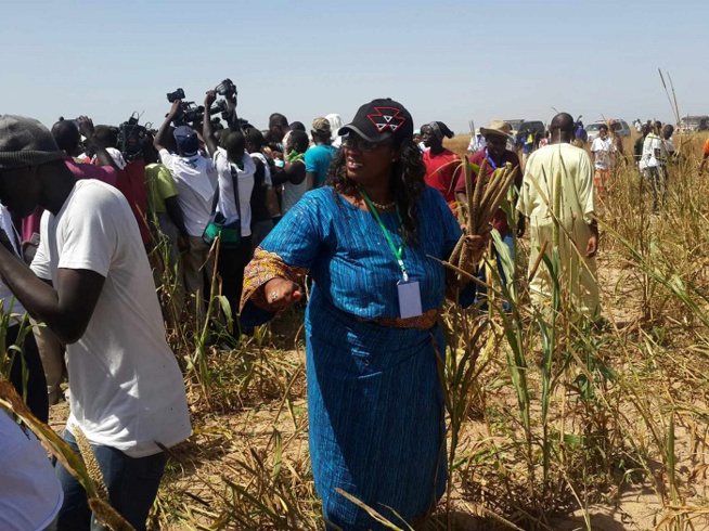 Khelcome 2014: Le milliardaire Cheikh Amar et sa délégation aux oeuvres de Serigne Saliou Mbacké