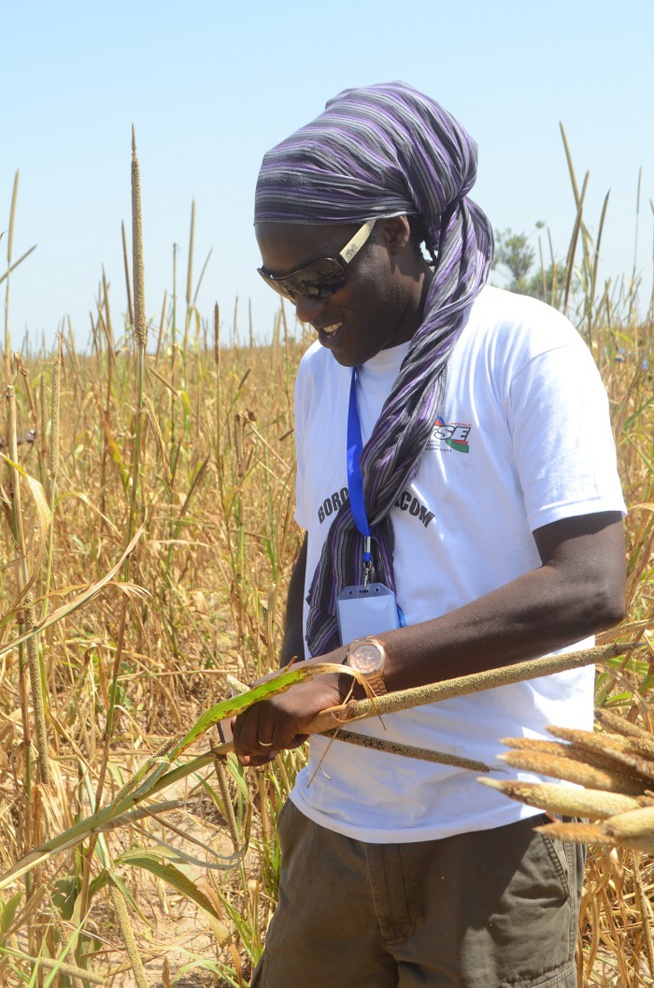 Khelcome 2014: Le milliardaire Cheikh Amar et sa délégation aux oeuvres de Serigne Saliou Mbacké Khelcome 2014: Le milliardaire Cheikh Amar et sa délégation aux oeuvres de Serigne Saliou Mbacké