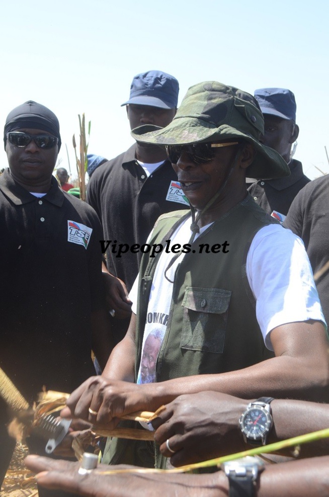 Cheikh Amar: « Aucun pays ne peut se développer sans l’autosuffisance alimentaire » Cheikh Amar: « Aucun pays ne peut se développer sans l’autosuffisance alimentaire »