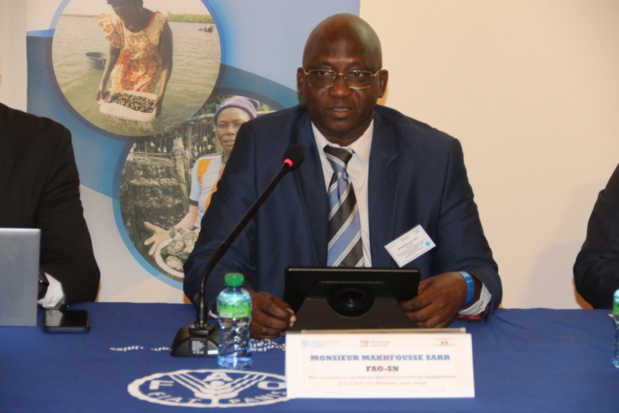 Makhfousse Sarr de la FAO pour la promotion de la sécurité sanitaire des coquillages et leur accès aux marchés régional et international Makhfousse Sarr de la FAO pour la promotion de la sécurité sanitaire des coquillages et leur accès aux marchés régional et international