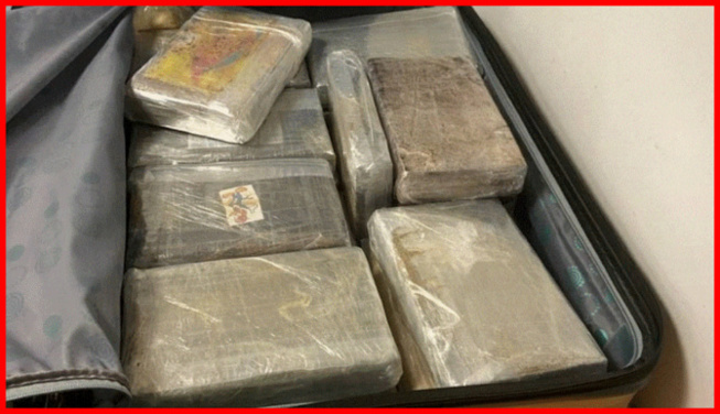 Saisie de de 180 kg de drogue à Nianing: La gendarmerie arrête un suspect Saisie de de 180 kg de drogue à Nianing: La gendarmerie arrête un suspect