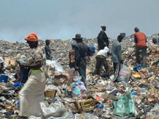 Infanticide: Plus de 15 fœtus ramassés en une année à Mbeubeuss Infanticide: Plus de 15 fœtus ramassés en une année à Mbeubeuss