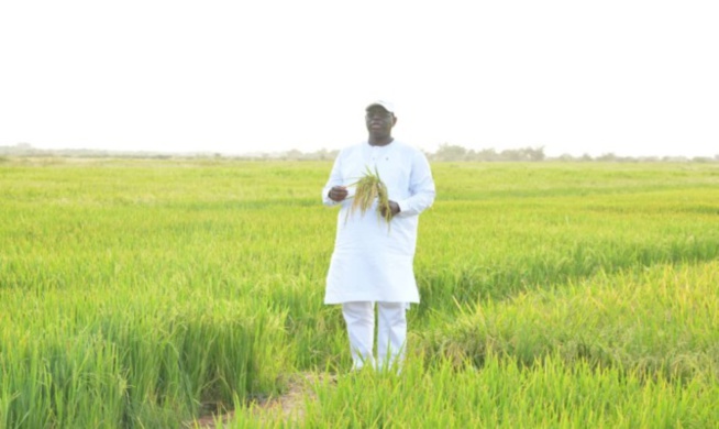 Le Président de la République insiste sur la protection des consommateurs et la qualité de la consommation Le Président de la République insiste sur la protection des consommateurs et la qualité de la consommation