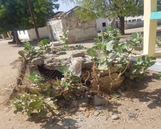 Mise en danger de la vie d’autrui : les habitants du Quartier Léona de Bambey très inquiets face au mutisme du Maire Mise en danger de la vie d’autrui : les habitants du Quartier Léona de Bambey très inquiets face au mutisme du Maire